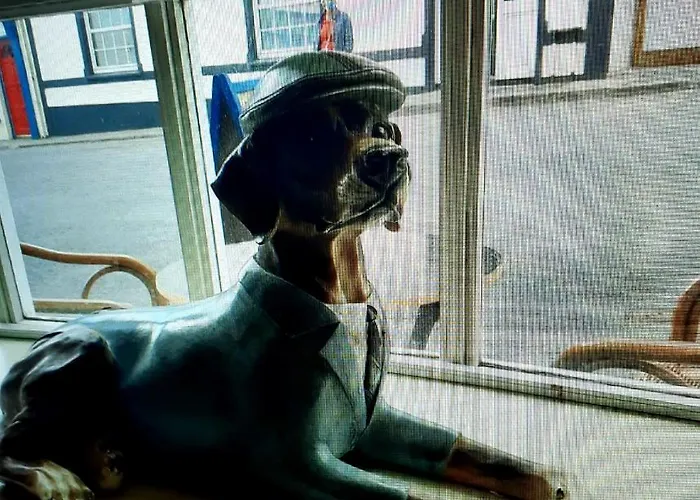 ホテル O'shea's トラモア